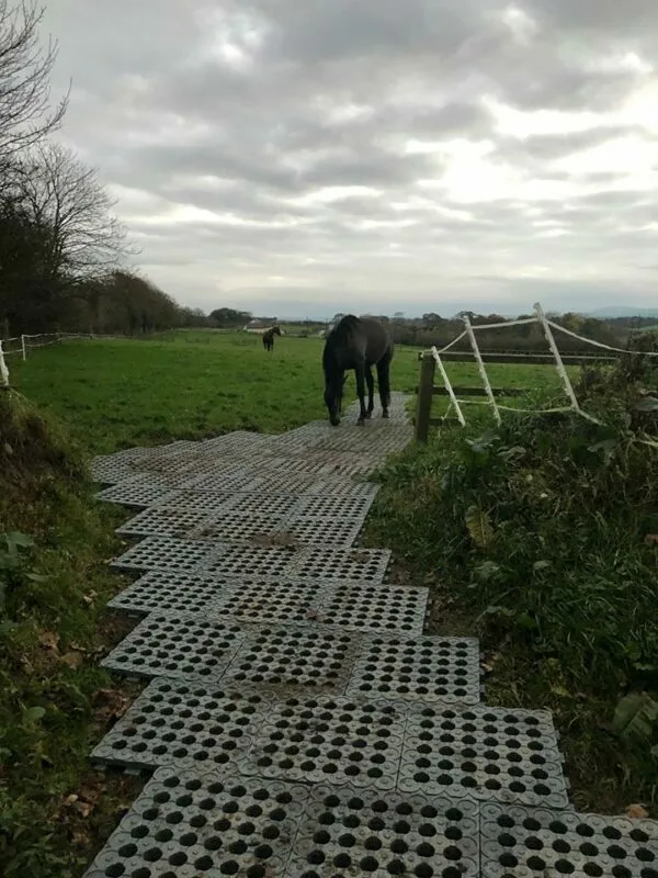 INB Paddockplatten für Matsch geeignet