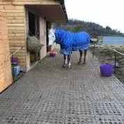 INB Paddockplatten für Matsch geeignet