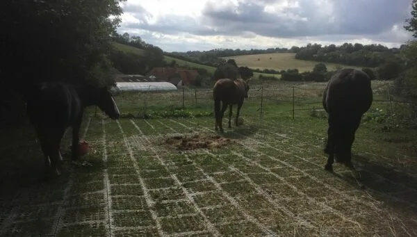 INB Paddockplatten für Matsch geeignet