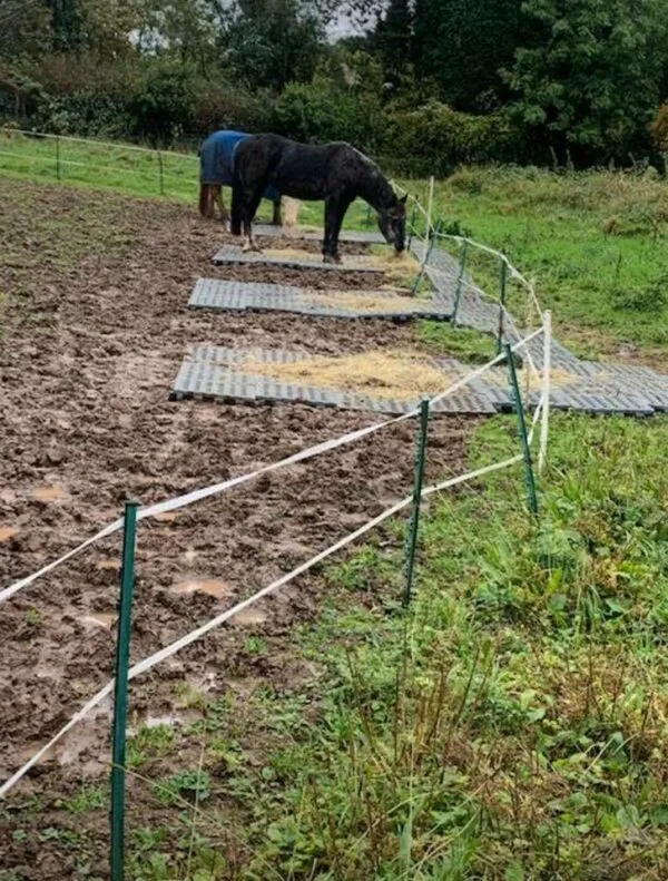 INB Paddockplatten für Matsch geeignet