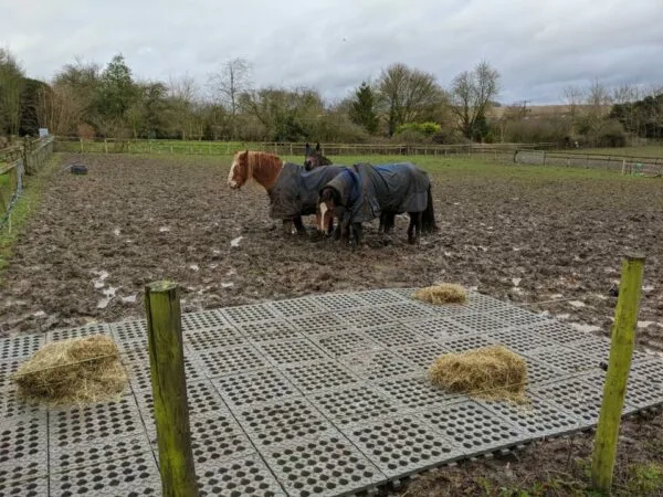 INB Paddockplatten für Matsch geeignet