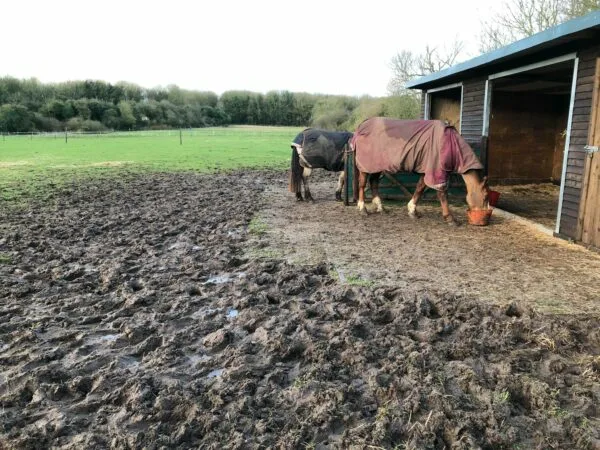 INB Paddockplatten für Matsch geeignet