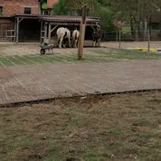 INB Paddockplatten für Matsch geeignet